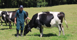 Trainee Stories Northland2